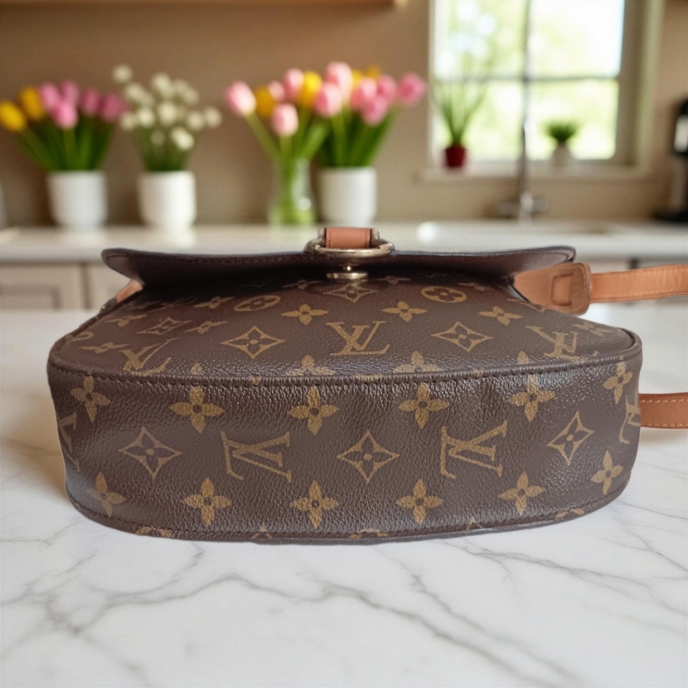 Louis Vuitton Saint Cloud GM Monogram Vintage Crossbody Bag - Picture 8 of 17